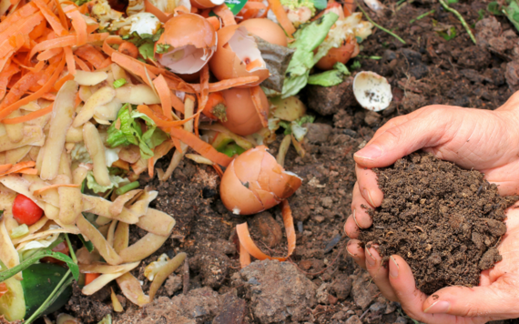 Compost