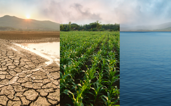An image collage of a green field with drought and ocean symbolising global warming