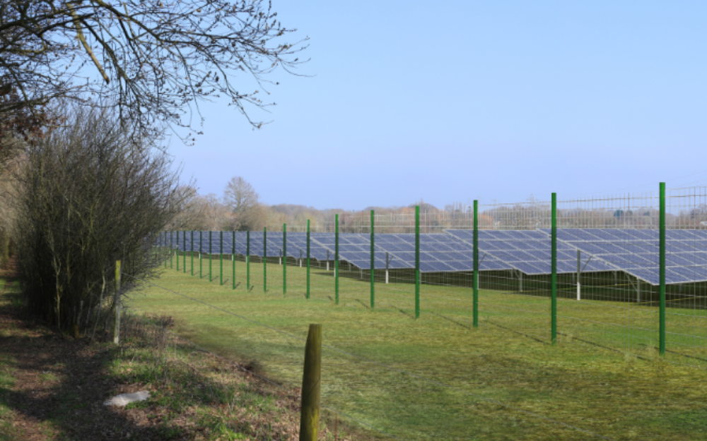 Photo of an array of solar panels in a field