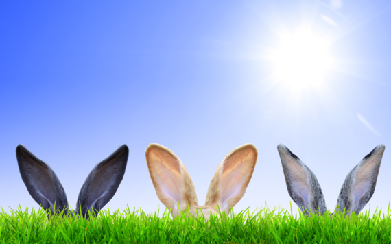 Three pairs of rabbit ears above some grass