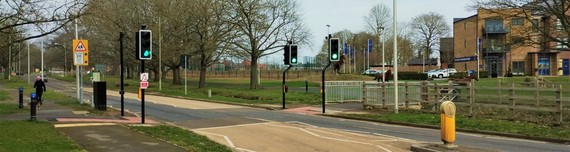 Wide, narrow shot of a pedestrian crossing in a leafy residential area, with flashing 20mph school signs behind it