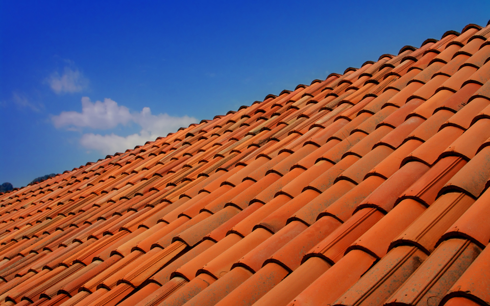 Roof tiles on a property on a bright sunny day