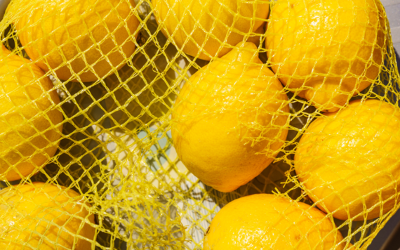 Some lemons in a net