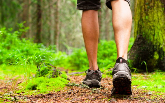 Walking in the woods