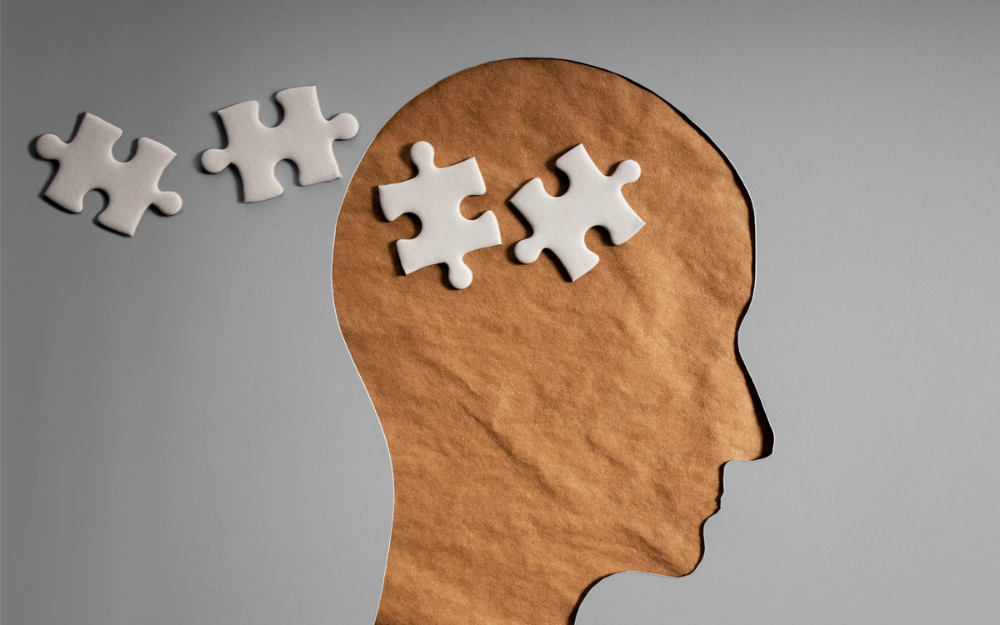A cutout of a shape of a human head, with puzzle pieces inside it