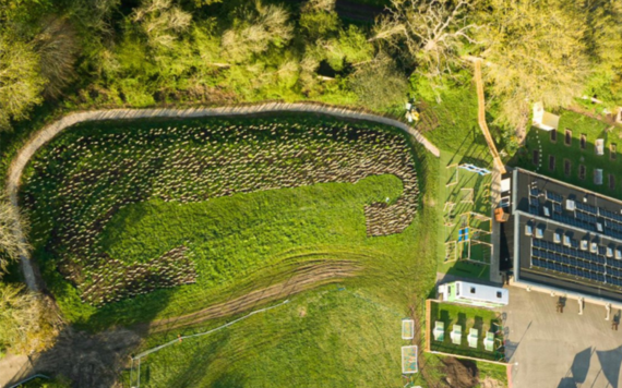 Miyawaki Forest - credit Reading Drones