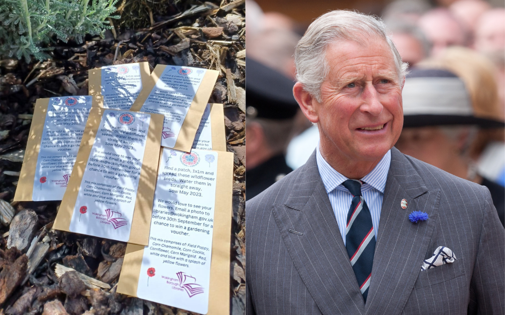 Packets of seeds from Wokingham Borough libraries next to King Charles the third