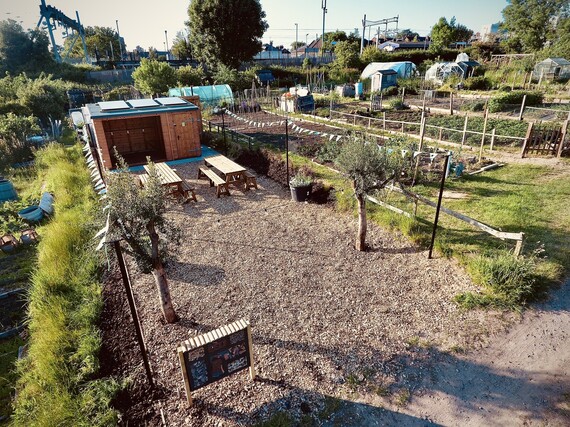 overhead view of a pretty and neat allotment site with communal area featuring a shed, picnic tables, decorative planting and bunting