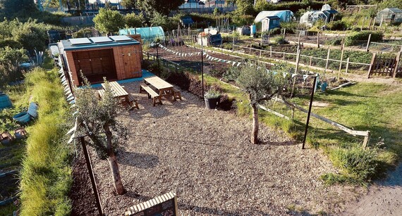 overhead view of a neat and pretty allotments site and communal area with shed and solar panels, picnic tables, trees and bunting