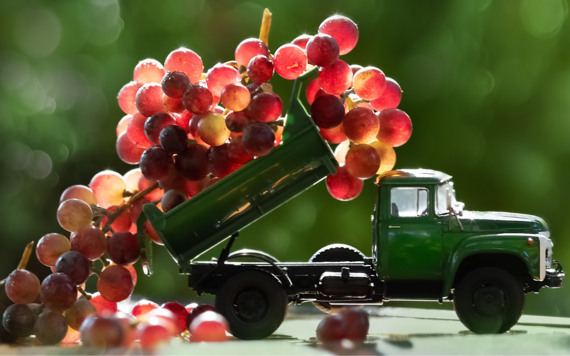 Grapes on a truck