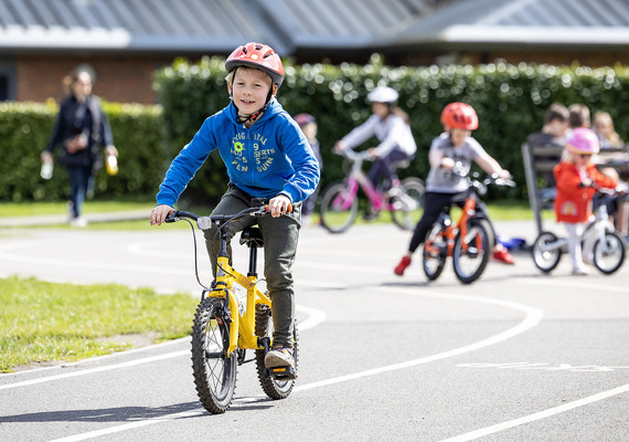 Bike Bonanza