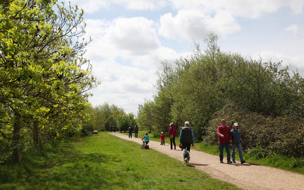 People walking and cycling around Dinton Pastures in Hurst