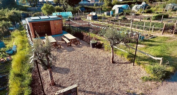 Photo of a clean and pretty new allotment site, with a garden area for residents including tables and chairs