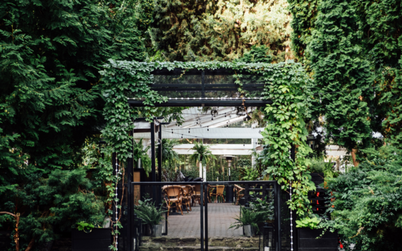 Partially covered outdoor dining using nature as part of the construction