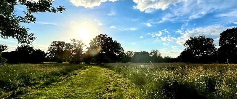 Photograph of the sun rising over a lush green field at Cantley Park