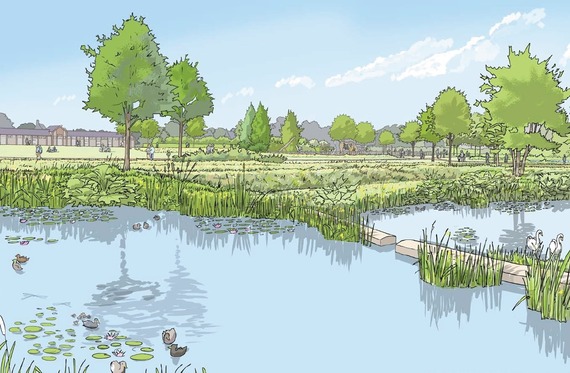 view of a lush open public space with a pretty reed-lined pond in foreground and an old stables building in background