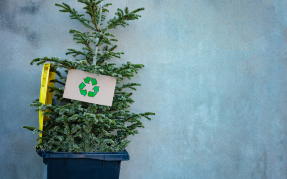 A potted Christmas tree with a sign of recycling symbol hanging on it