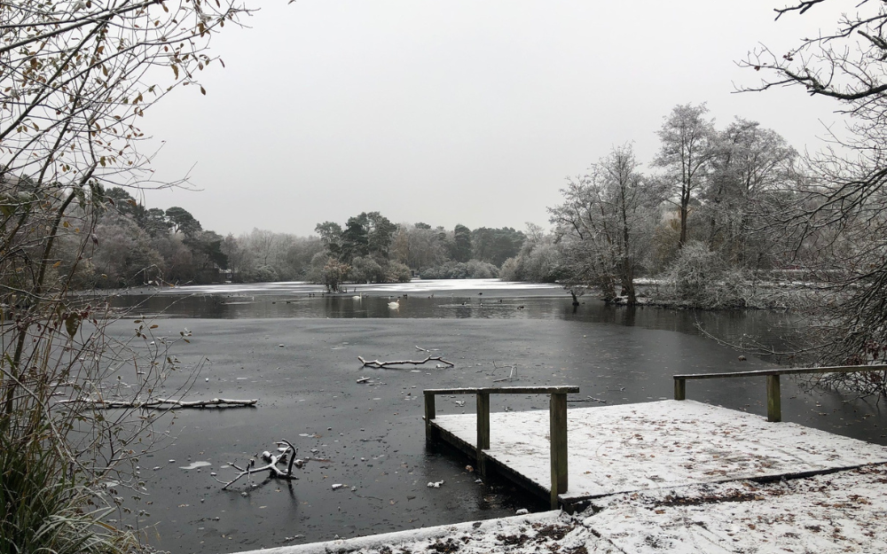 Dinton Pastures on a frosty morning