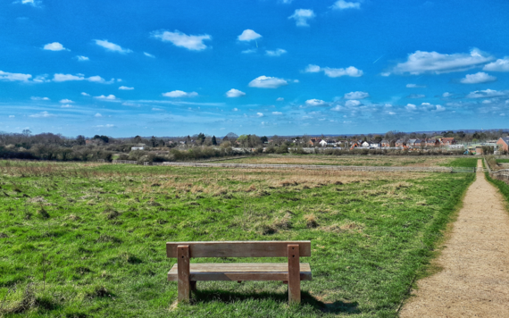 A meadow in Wokingham Borough