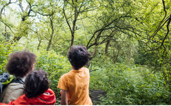 An adult and two children watching birds in a wood