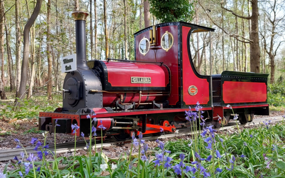 Miniature railway