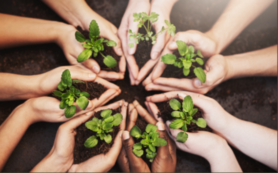 Seven pairs of hands in a circle cradling newly sprouted plants