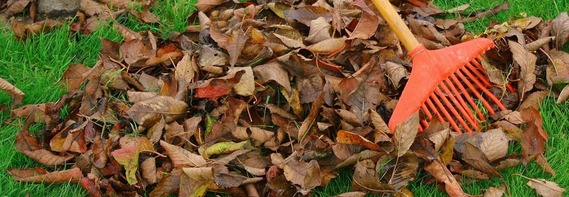 close up of a red plastic rake sorting through a pile of dead leaves