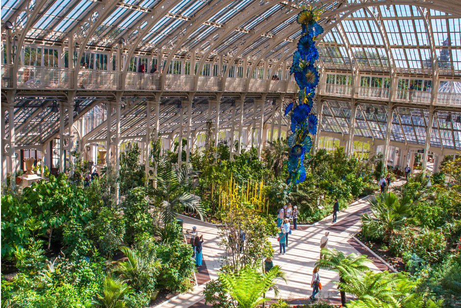 the interior of a large glasshouse at Kew Gardens, covering a large number of bright and colourful plants