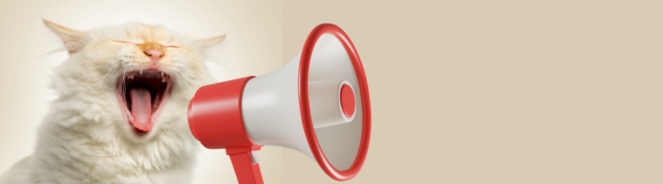humourous image of a cat yelling loudly through a megaphone