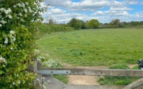 A photo of a new green space in Shinfield