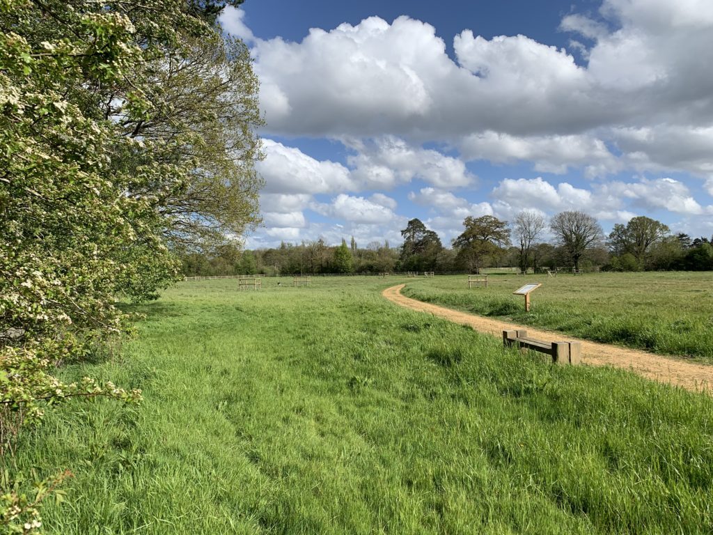 Shot of a beautiful, flat green space on a sunny day with a path winding through a field and trees to the left