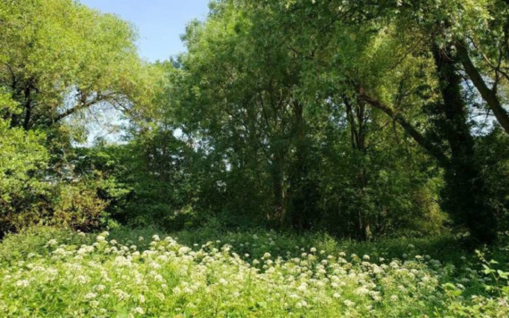 A photo of Woosehill Meadows