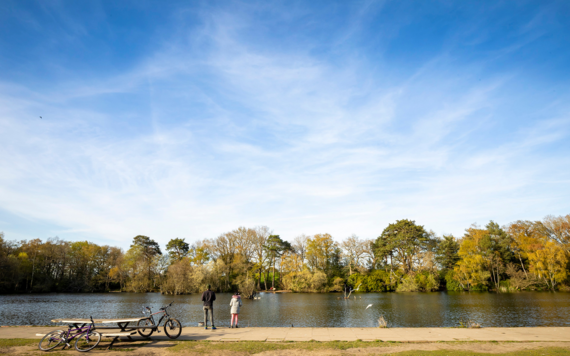 A view of the lake at California Country Park