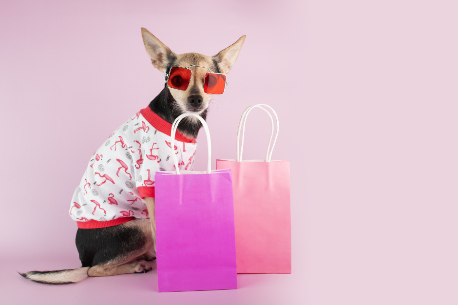 a cute small dog wearing sunglasses and clothes, sitting next to a pile of paper shopping bags
