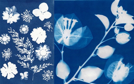 Cyanotype workshops