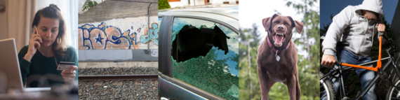 Five images showing a person on a phone in front of a laptop with a credit card, graffitti, smashed car window, dog barking and bike theft