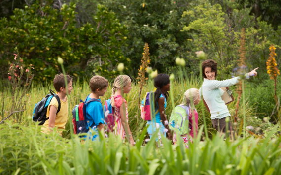 Children following a teacher to explore nature