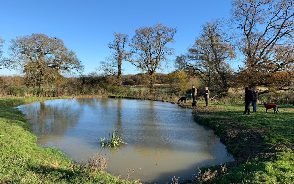 Dog walkers inspect the pond at Keephatch Meadows