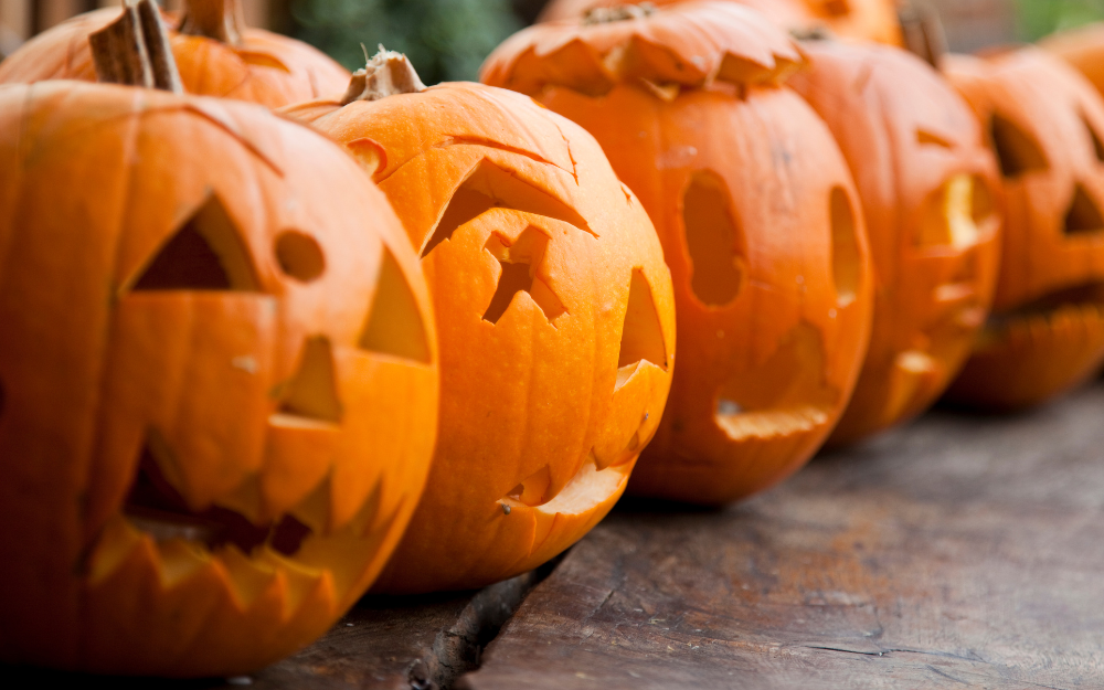 Carefully carved pumpkin faces lined up at the roadside