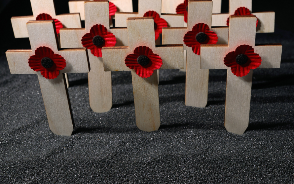 Remebrance crosses with red poppies on them, in the ground