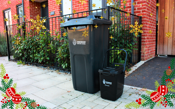 A black rubbish bin and a black food bin at the kerbside