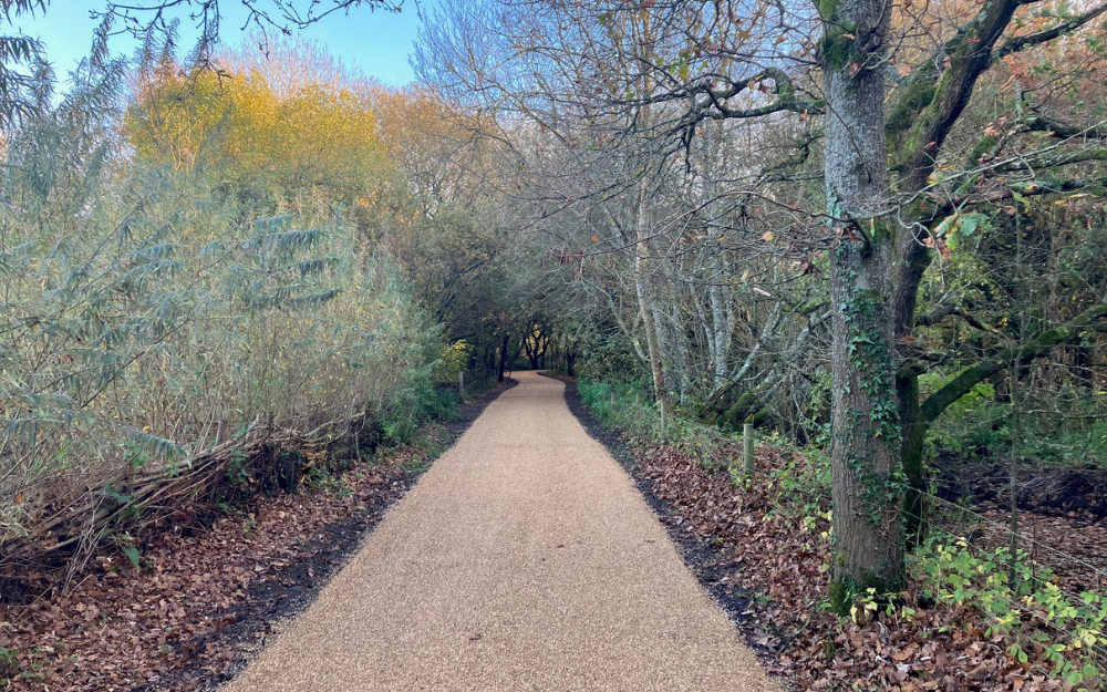 Smoothly newly laid graveled footpath at Dinton Pastures surrounded by woodland trees