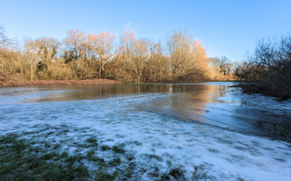A photo of Maiden Erlegh Nature Reserve in winter