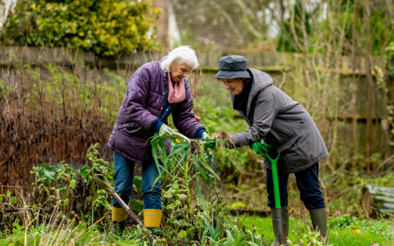 Two ladies gardening together and pulling out weeds