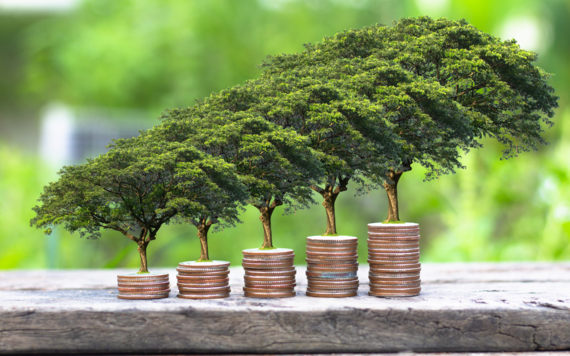 A graphic of plant growing on coin stacks