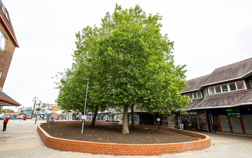 A planting bed with trees in Woodley precinct