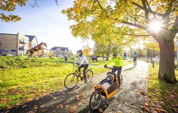 a family with a child in tow ride through a leafy suburban area as the sunlight streams through the trees overhead