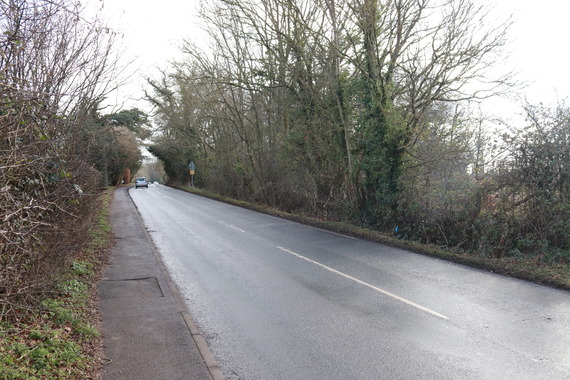An empty section of Easthampstead Road in the daytime, with trees and hedges on either side
