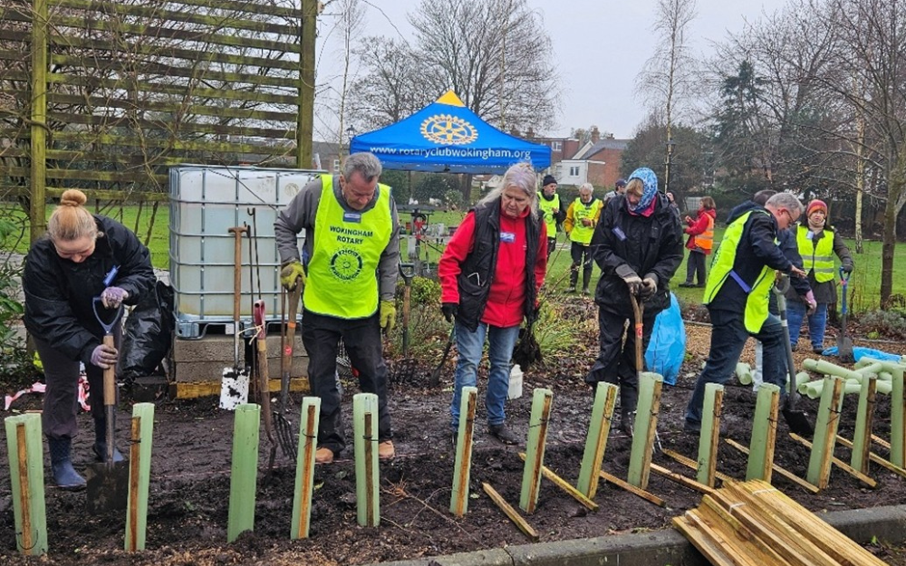 Volunteers planting trees in wokingham