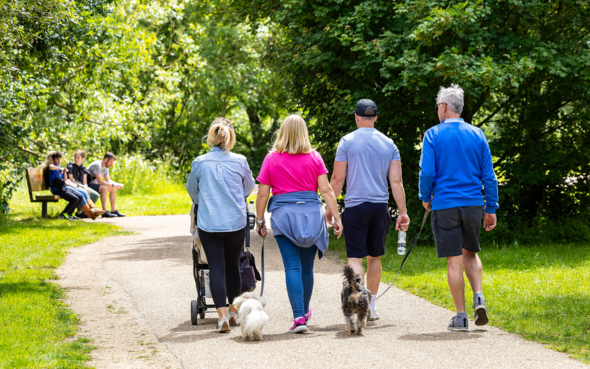 Wokingham Wellbeing Walks